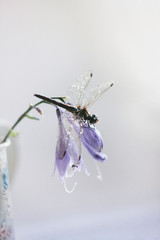 a large dragonfly sits on lilac flowers