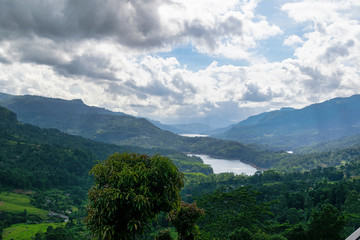 Tea plantations as far as the eye can see