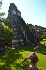 Piramida Majów - Tikal, Gwatemala