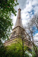 View on Eiffel Tower in Summer, Paris/France