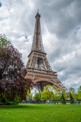 View on Eiffel Tower in Summer, Paris/France