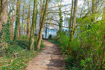 Fototapeta premium Berlin Friedrichshagen, Wanderweg Müggelsee, Ufer, gehweg, Ausflug, 