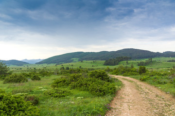 Fototapeta na wymiar Rhodope Mountains near village of Dobrostan, Bulgaria