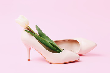 Female high-heeled shoe with beautiful tulip on pink background
