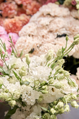 Floral carpet or Wallpaper. Background of mix of flowers. Beautiful flower for catalog or online store. Floral shop and delivery concept. Top view. Copy space