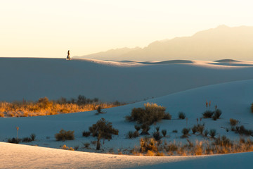 A woman in a dress wandering across sand dunes in the desert at sunset