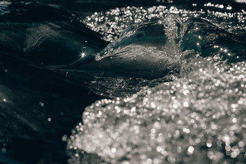 Fototapeta premium water splash in the pool