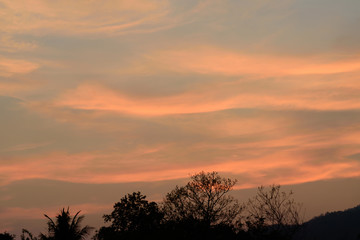 Beautiful vanilla sky with clouds after sunset above the tree in the evening