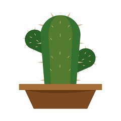 Cactus icon in a pot plant