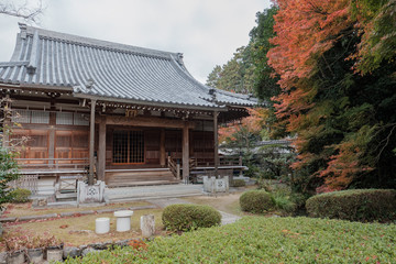 Autumn Leaves in a Temple in Kyoto, Japan
