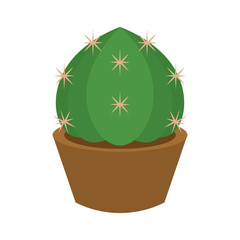 Cactus icon in a pot plant