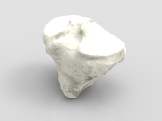 Model of human bone, part of the knee, tibia, 3D render