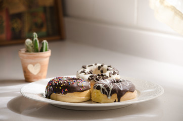 Three chocolate dipped donuts on a white plate.