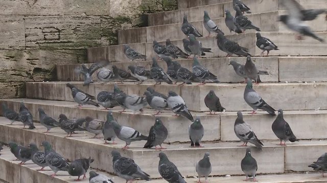 New mosque and crowded place in Eminonu, Turkey istanbul 2015