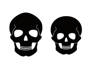 Fototapeta premium Skeleton1