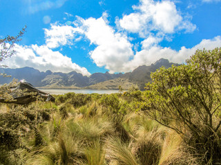 Laguna en el páramo
Lake in the moor