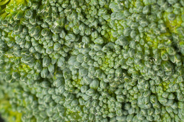 Vegetales Macro de brocoli 