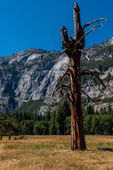 Legend for rock climbers El Capitan Mountain in Yosemite National Park