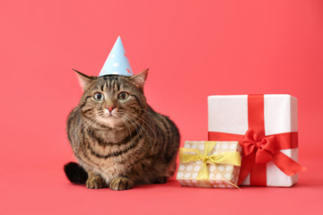 Cute cat in party hat and with Birthday gifts on color background