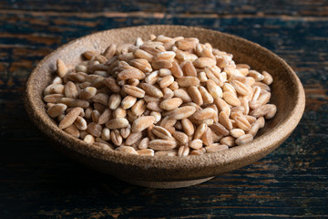 Uncooked Farro in a Bowl