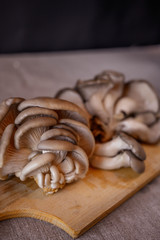 mushrooms for soup on a wooden board and with a dark background