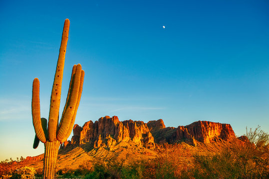 Superstition Mountains glowing with late afternoon sun © David Arment