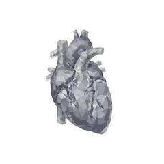 polygonal heart illustration