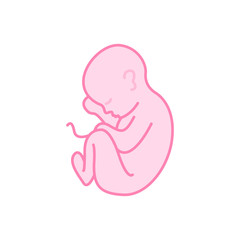 fetus vector icon
