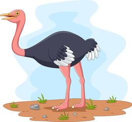 Cartoon ostrich in the field