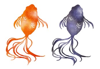 赤い金魚と黒い金魚　キンギョ　水彩風