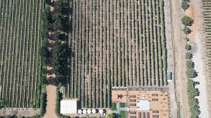 Vinícola no Chile , Vinhos , Vista Aérea 