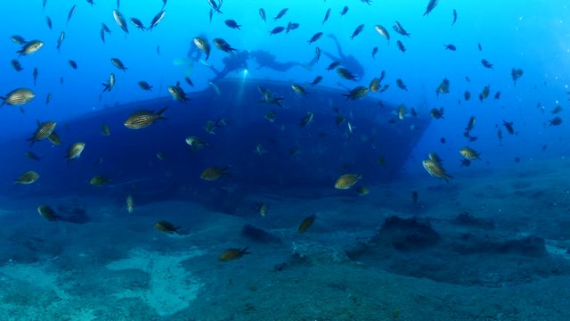 wreck scenery underwater scuba divers to explore on ocean floor with fish
