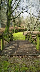 path in the park