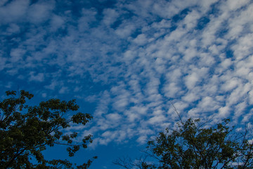 Beautiful blue sky and cloudy in Thailand