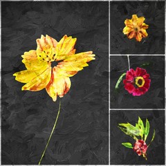 set of flowers illustration. Zinnia Flower. Cosmos flower. Red Flower