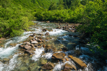 Fototapeta premium creek in wooded valley