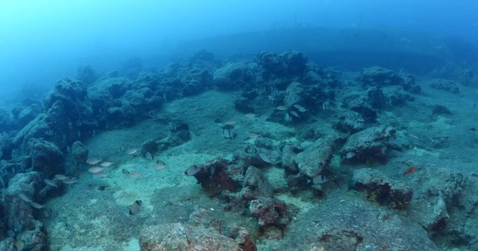 shipwreck underwater on ocean floor ship wreck laying