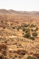 sand dunes in the desert