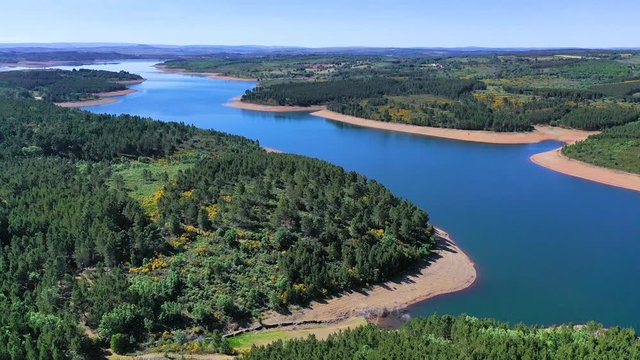 Pine plantation, Serra da Malcata Nature Reserve, Greater Coa Valley, Western Iberia, Rewilding Portugal, Rewilding Europe, Portugal, Europe