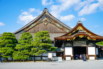 Fototapeta premium 二条城 二の丸御殿