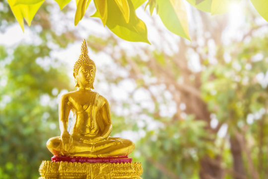 Close up portrait golden Buddha statue sitting on a golden base with green blurred nature background.