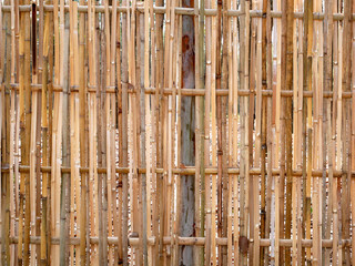 old bamboo fence background