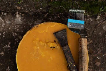 A large piece of yellow wax and beekeeper tools. Bees are flying. Home apiary. Flat lay