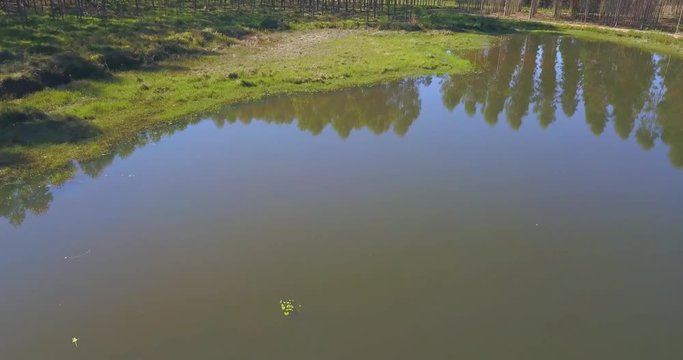 Aerial View of Small Lake and Forest in Countryside of Paraguay, Tilt Up