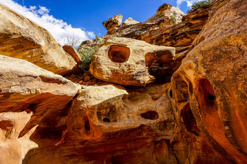 red rocks in the desert