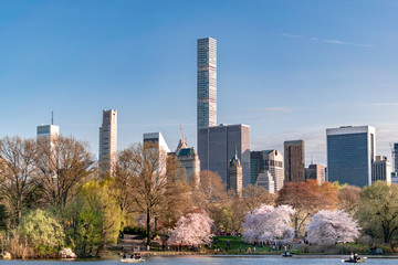 Naklejka premium Central Park Skyline