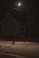 street corner at night