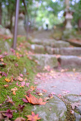 Sekizan Zen-in Temple in Kyoto, Japan