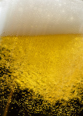 Bubbles in a beer background