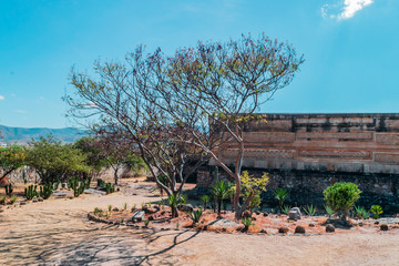 Fullshot view of Mitla ruins